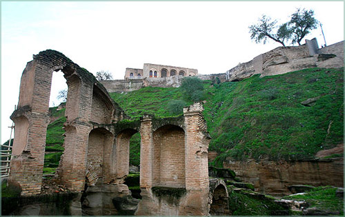 ������� ���� ������� shter- Iran (1